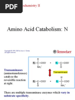 Amino Acid Catabolism: N: Molecular Biochemistry II