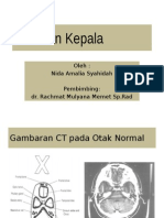 Expertise - Ct-Scan Kepala