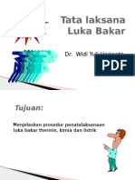 Tatalaksana Luka Bakar - Ankes 2012