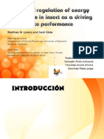 G13-Hormonal Regulation of Energy Metabolism in Insects As A Driving Force For Perfomance