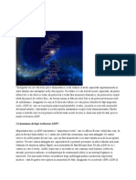 Activarea-ADN-Ului.pdf