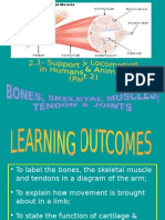 2.1 (b) - Role of Muscles, Ligaments & Tendons In