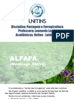 B Alfafa e Colopogonio