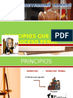 PRINCIPIOS DEL DERECHO PROCESAL PENAL
