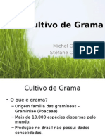 Cultivo de Gramas 