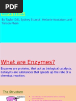 Enzymes