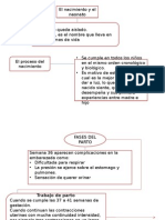 Diapositivas Del Nacimiento y El Neonato