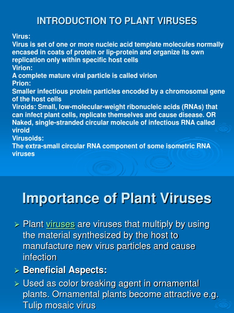 An InDepth Look at Common Plant Viruses Their Structure, Effects
