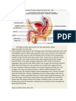 Anatomi Fisiologi Histo PBL