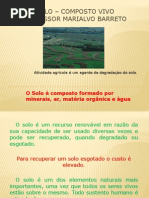 Solo – Composto Vivo