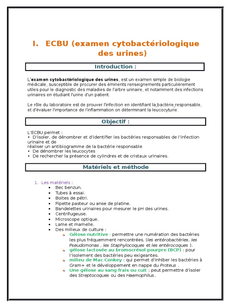 Rapport de Stage Service d'Analyse Medical  Antibiotiques  Urine