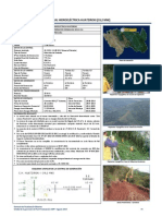 CH Huatziroke PDF