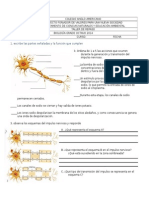 Taller Virtual de Repaso Diagnostica Nervioso y Reproductor Humano