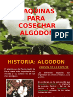 Historia Algodon(Clase3)