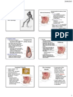 Outline Male Anatomy and Physiology 4 - 5 F15