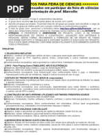 Projetos Feira Ciencia