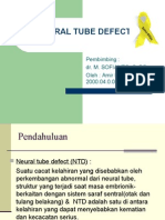 Neural Tube Defect