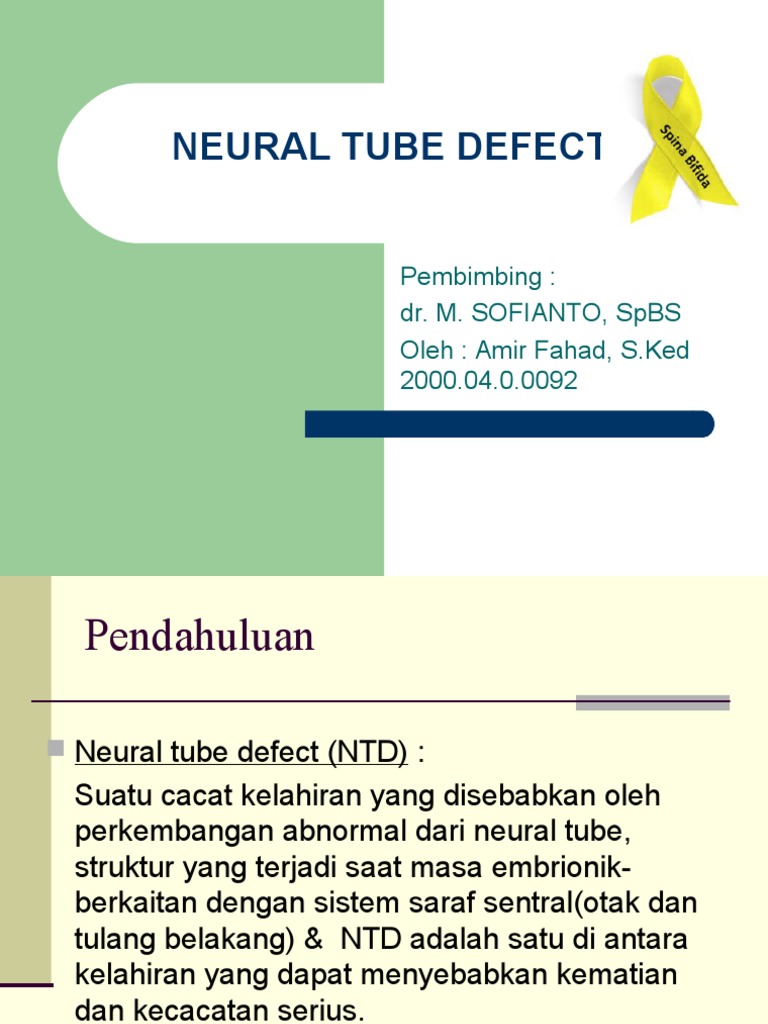 Definisi dan Penanganan NTD Spina Bifida | PDF | Sains & Matematika