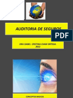 AUDITORIA_SEGUROSS