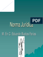 Norma Juridica