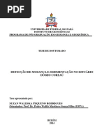 Tese_DeteccaoMudancaSedimentacao