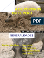 Crianza de porcinos en el Perú