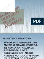 El Sistema Nervioso en Los Animales