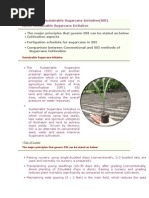 Sustainable Sugarcane Initiative
