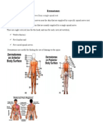 Dermatomes: An Area of The Skin Supplied by Nerves From A Single Spinal Root