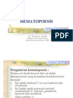 Hematopoesis
