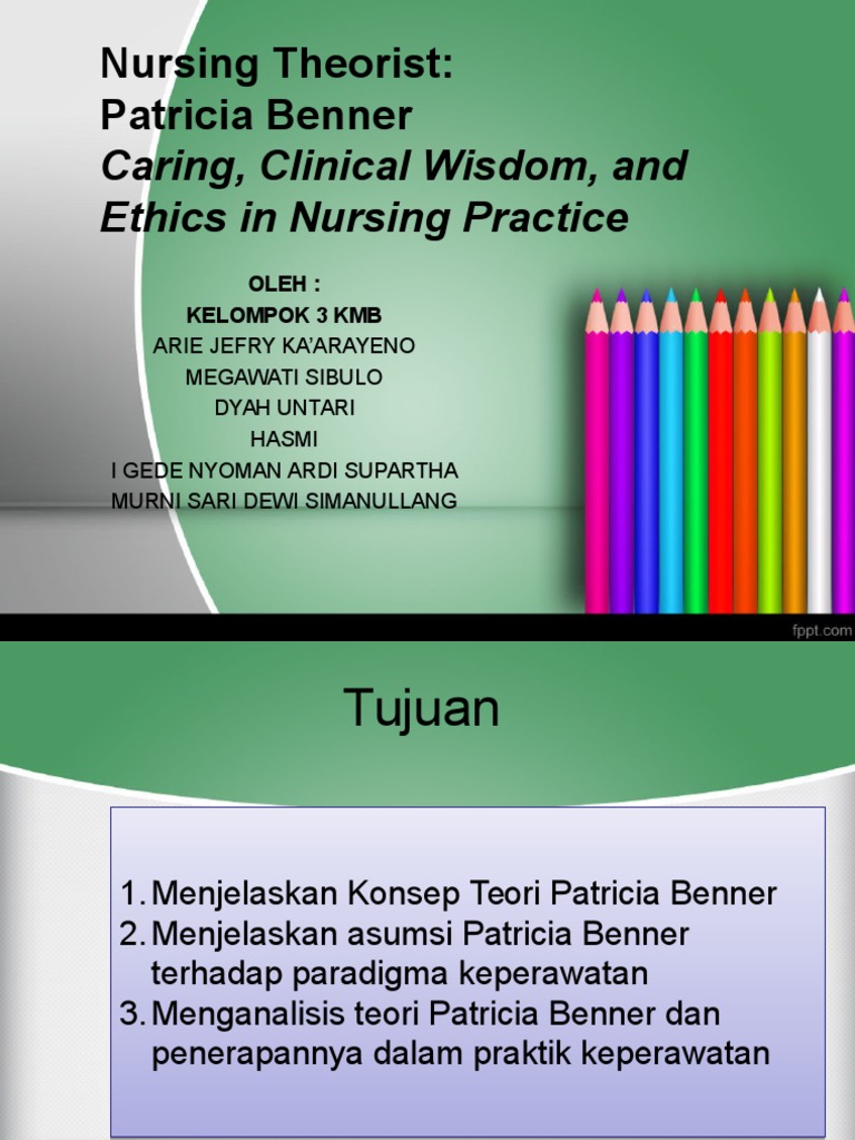 Patricia Benner's Stages of Clinical Competence | PDF
