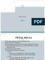 Fetal Skull