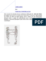 Constelações Familiares Percepção