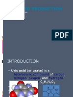 Uric Acid Production