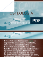 Oasele Corpului Uman - Osteologie Curs 2