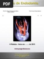 Programa Do Curso de Endodontia 2013 (1)