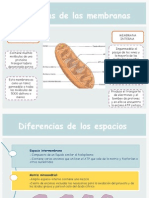 diferencia de menbranas