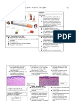 SMOKING EFFECTS ON THE SKIN.docx