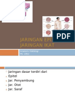 JARINGAN EPITEL DAN JARINGAN IKAT