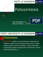 Fotosintesis