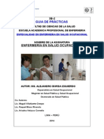 Guia Practica Espec Salud Ocupa - V2 II-2013