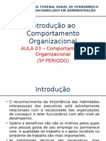 AULA Comportamento Organizacional