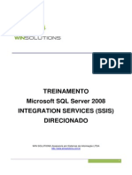 SSIS 2008 Treinamento