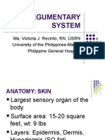 Integumentary System