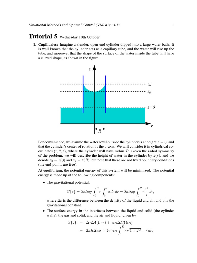 Caculus of Variations | PDF | Calculus Of Variations | Mathematical ...