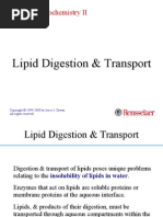 Lipid Digestion and Absorption