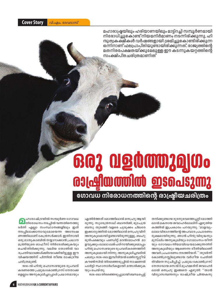 Beef ban essay image