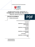 Estructura Del Informe Final de Practicas Preprofesionales