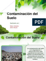 contaminaciondelsuelo2-130602155004-phpapp02