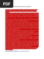 Download Tokoh Fotografer Indonesia by rika SN283496462 doc pdf